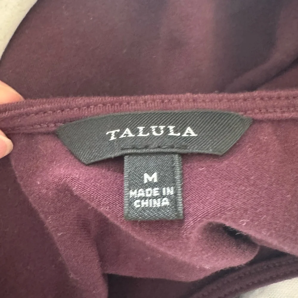 Aritzia Talula dress skater pleated skirt maroon burgundy fall long sleeve m s - Picture 3 of 6